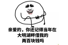 驻马店收债公司电话号码查询：轻松解决债务问题